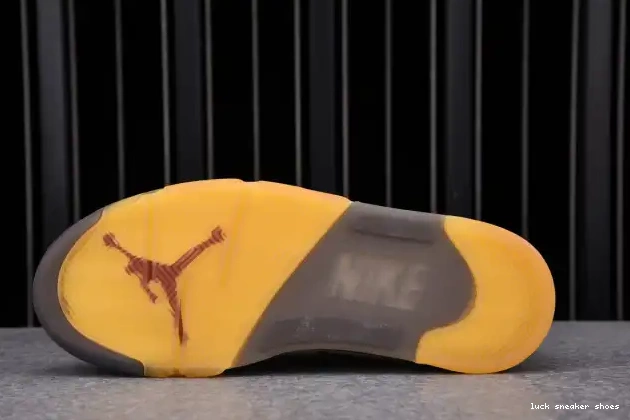Reps LUCY 5 Jordan Retro DH8565-100 OFF-WHITE Sail 0624